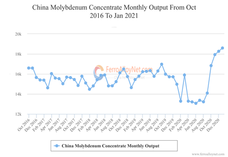 China Molybdenum Concentrate Monthly Output